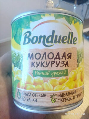 Молодая кукуруза