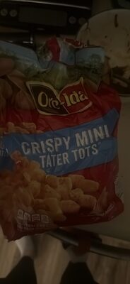 CRISPY MINI TATER TOTS