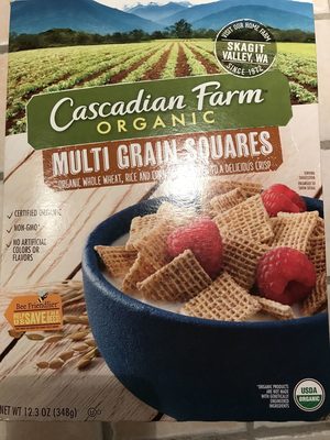 Multi Grain Squares