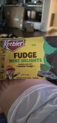 Fudge Mint Delights