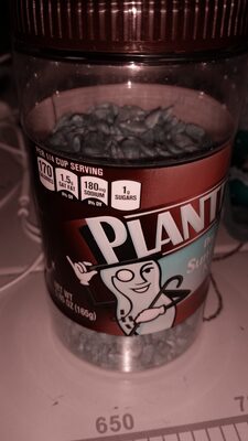 Dry Roasted Sunflower Kernels