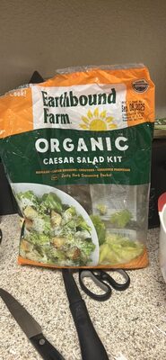 Organic Caesar Salad Kit