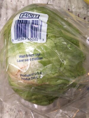 Iceberg Lettuce