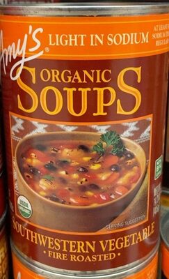 Southwestern Vegetable Soup
