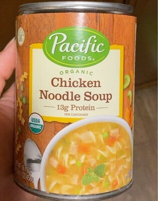 Chicken noodle soup