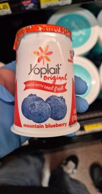 Low Fat Yogurt with Blueberry
