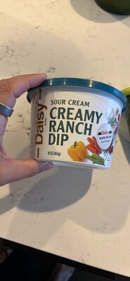 Sour Cream Creamy Ranch Dip