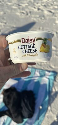 Cottage Cheese with Pineapple