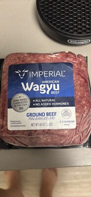 Ground Beef 75% Lean 25% Fat