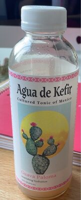 Agua de Kefir