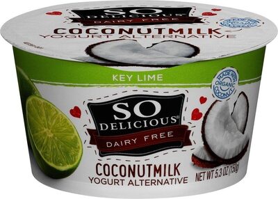 Coconutmilk Yogurt Alternative Key Lime