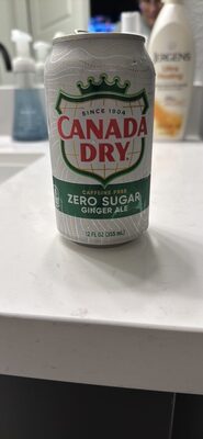 Ginger Ale Zero Sugar