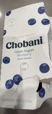 Greek Yogurt Blueberry on the Bottom