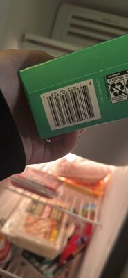 mint chocolate chip frozen greek yogurt bars