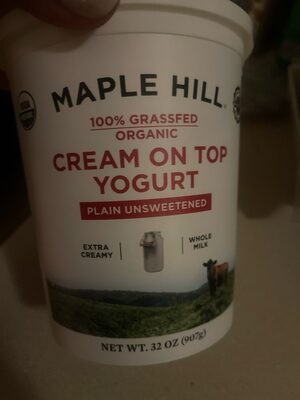 Plain Cream on Top Yogurt