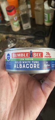 Solid White Tuna Albacore in Water