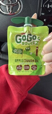 Apple Cinnamon Fruit on the Go