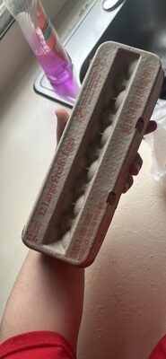 12 Large Fresh Eggs