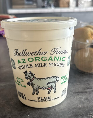 A2 Organic Whole Milk Yogurt Plain