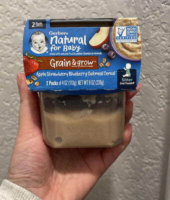 Apple Strawberry Blueberry Oatmeal Cereal