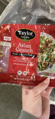 Asian Mini Salad Kit