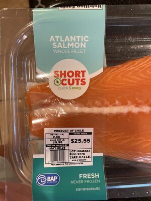 Atlantic Salmon