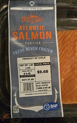 Atlantic Salmon