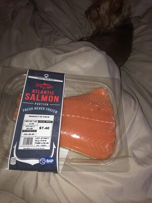 Atlantic Salmon