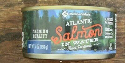 Atlantic salmon in water