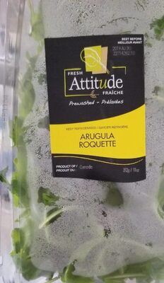 Attitude fraiche, fresh arugula
