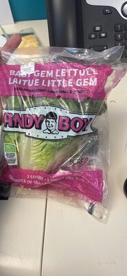 BABY GEM LETTUCE