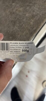 Black Splendor Plums