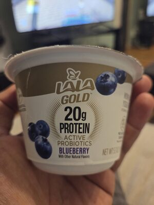 Blueberry Yogurt
