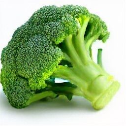 Broccoli
