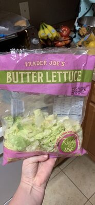 BUTTER LETTUCE