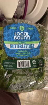 Butter Lettuce