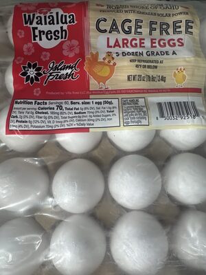 Cage Free Large Eggs