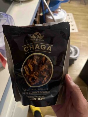 Chaga Pure Extract Powder
