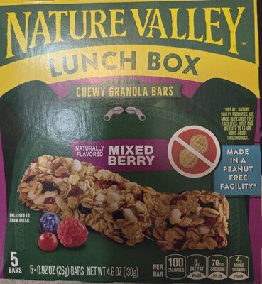 Chewy Granola Bar Mixed Berry