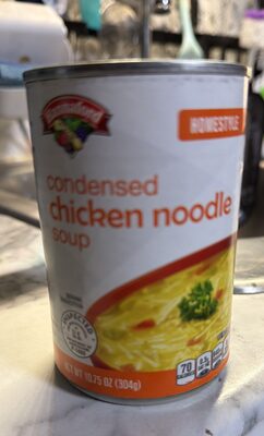 Chicken noddle soup