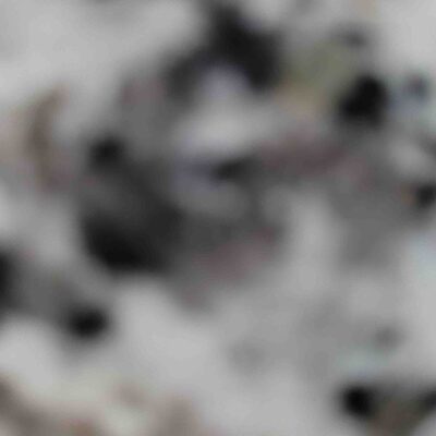 Chicken Thighs (bonesless, skinless)