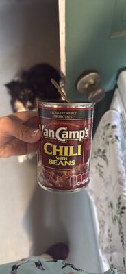 CHILI WITH BEANS