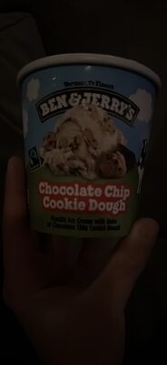 Chocolate Chip Cookie Dough