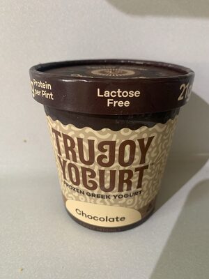 Chocolate Frozen Greek Yogurt