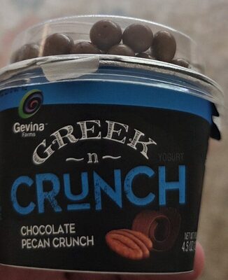 Chocolate Pecan Crunch Yogurt