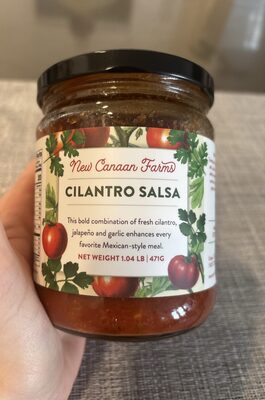 Cilantro Salsa