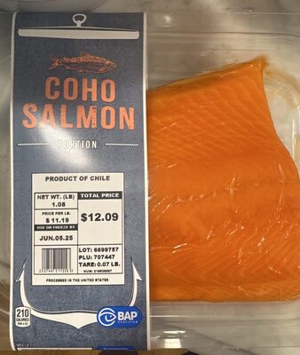 Coho Salmon