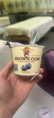 Cream Top Whole Milk Yogurt Blueberry on the Bottom