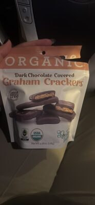 Dark Chocolate Covered Graham Crackers