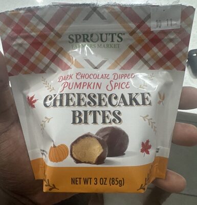 Dark Chocolate Dipped Pumpkin Spice Cheesecake Bites